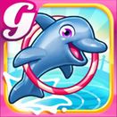   My Dolphin Show