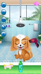 Puppy Spa