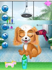 Puppy Spa