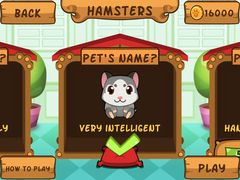 My Virtual Hamster ~    