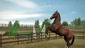 My Horse