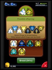 Pocket Frogs