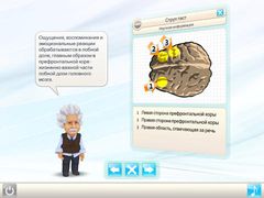 Einstein    HD Free