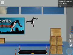 Backflip Madness